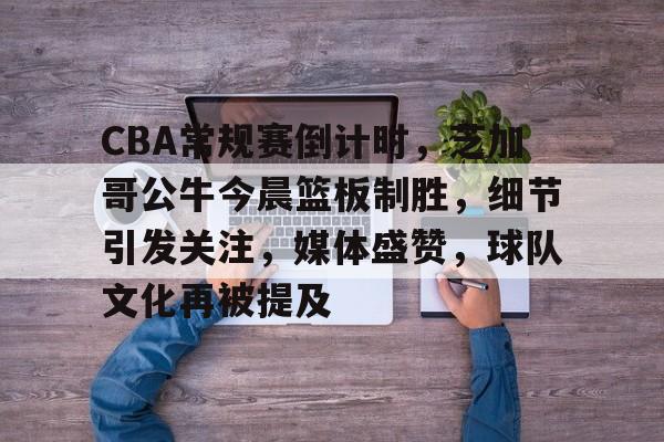 CBA常规赛倒计时，芝加哥公牛今晨篮板制胜，细节引发关注，媒体盛赞，球队文化再被提及的简单介绍